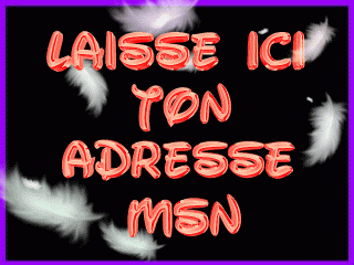 laisse ton adresse msn